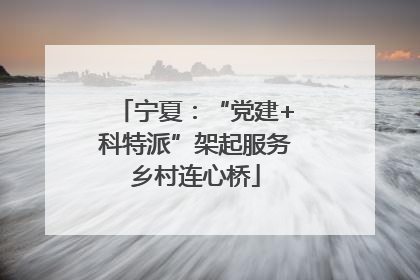 宁夏：“党建+科特派”架起服务乡村连心桥