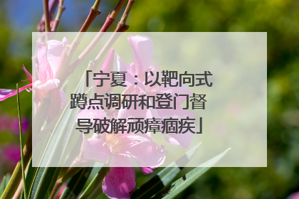 宁夏：以靶向式蹲点调研和登门督导破解顽瘴痼疾