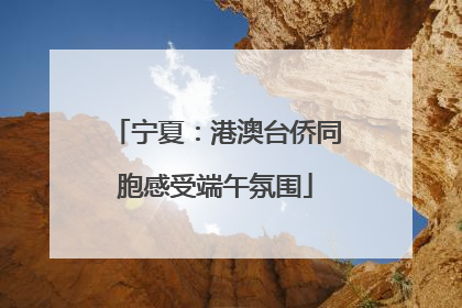 宁夏：港澳台侨同胞感受端午氛围