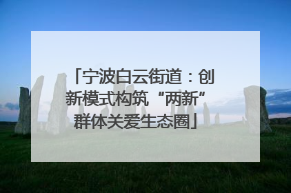 宁波白云街道：创新模式构筑“两新”群体关爱生态圈