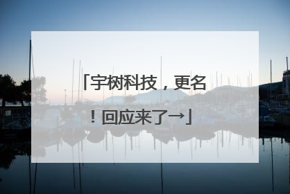 宇树科技，更名！回应来了→