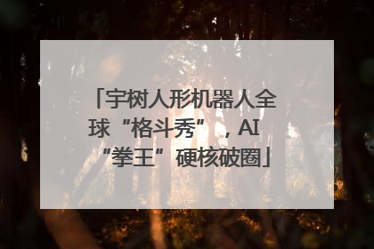 宇树人形机器人全球“格斗秀”，AI“拳王”硬核破圈
