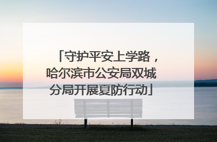 守护平安上学路，哈尔滨市公安局双城分局开展夏防行动