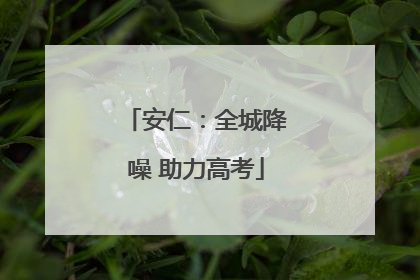 安仁：全城降噪 助力高考