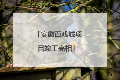 安徽百戏城项目竣工亮相