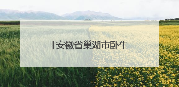 安徽省巢湖市卧牛山市场监管所开展自助餐厅监督检查