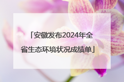 安徽发布2024年全省生态环境状况成绩单