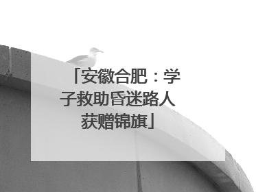 安徽合肥：学子救助昏迷路人获赠锦旗
