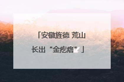 安徽旌德 荒山长出“金疙瘩”