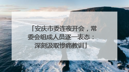 安庆市委连夜开会，常委会组成人员逐一表态：深刻汲取惨痛教训