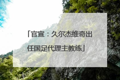 官宣：久尔杰维奇出任国足代理主教练