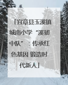 宜章县玉溪镇城南小学“溪韧中队”：传承红色基因 锻造时代新人