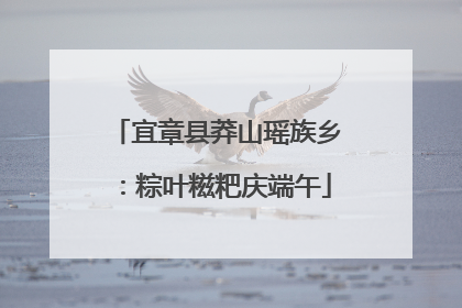 宜章县莽山瑶族乡：粽叶糍粑庆端午