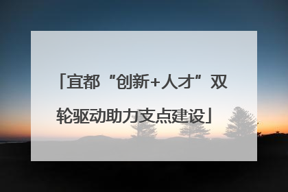 宜都“创新+人才”双轮驱动助力支点建设