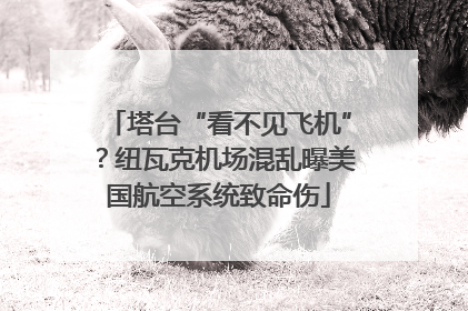 塔台“看不见飞机”？纽瓦克机场混乱曝美国航空系统致命伤