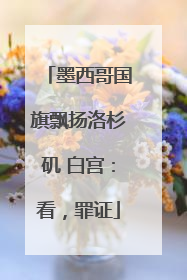 墨西哥国旗飘扬洛杉矶 白宫：看，罪证