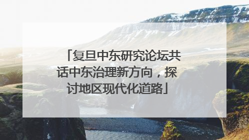复旦中东研究论坛共话中东治理新方向，探讨地区现代化道路