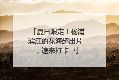 夏日限定！杨浦滨江的花海超出片，速来打卡→