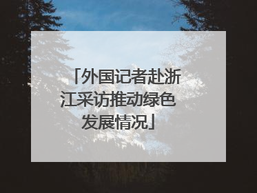 外国记者赴浙江采访推动绿色发展情况
