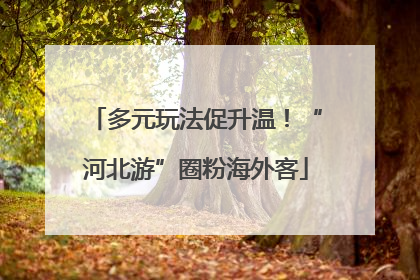 多元玩法促升温！“河北游”圈粉海外客