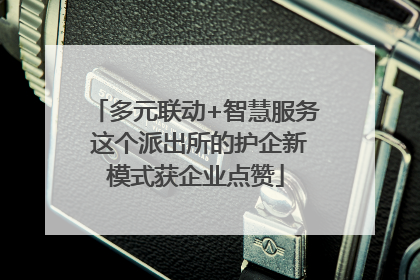 多元联动+智慧服务 这个派出所的护企新模式获企业点赞