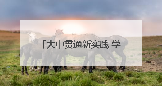 大中贯通新实践 学海领航启新程——南京大学数学学院导师团赋能新海初级中学九年级学子生涯规划