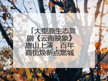 大型原生态舞剧《云南映象》唐山上演，百年商街焕新点燃城市艺术激情