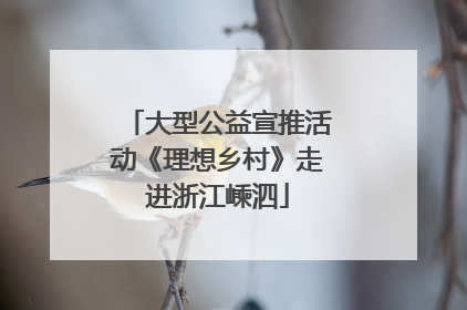 大型公益宣推活动《理想乡村》走进浙江嵊泗