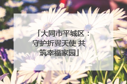 大同市平城区：守护折翼天使 共筑幸福家园