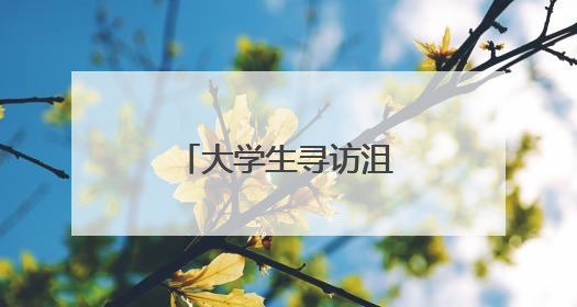 大学生寻访沮漳皮影，探求非遗创新性发展