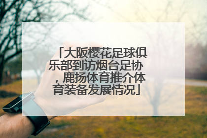 大阪樱花足球俱乐部到访烟台足协，鹿扬体育推介体育装备发展情况