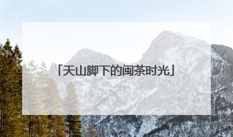 天山脚下的闽茶时光
