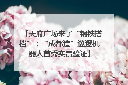 天府广场来了“钢铁搭档”：“成都造”巡逻机器人首秀实景验证