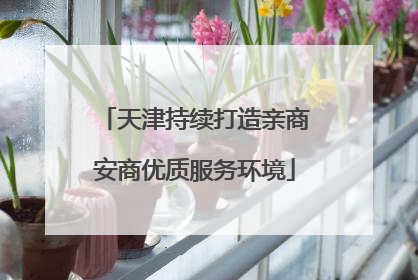 天津持续打造亲商安商优质服务环境