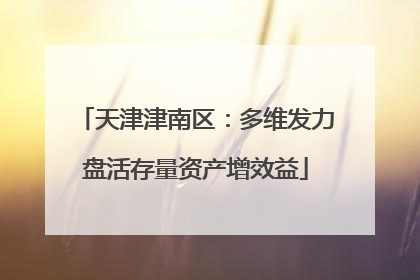 天津津南区：多维发力盘活存量资产增效益
