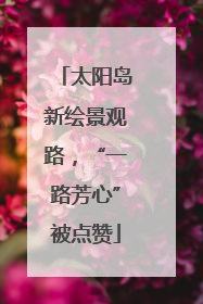 太阳岛新绘景观路，“一路芳心”被点赞