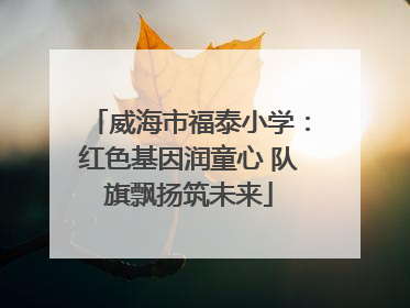 威海市福泰小学：红色基因润童心 队旗飘扬筑未来