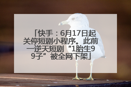 快手：6月17日起关停短剧小程序。此前一逆天短剧“1胎生99子”被全网下架