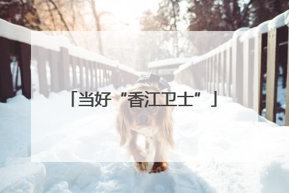 当好“香江卫士”