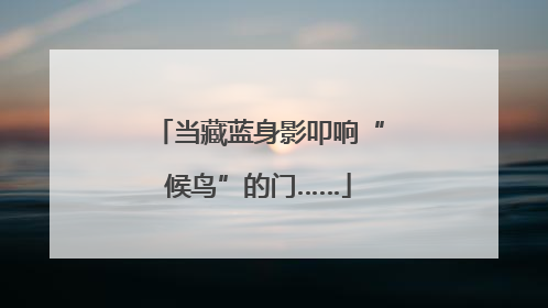 当藏蓝身影叩响“候鸟”的门……