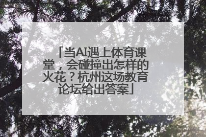当AI遇上体育课堂，会碰撞出怎样的火花？杭州这场教育论坛给出答案