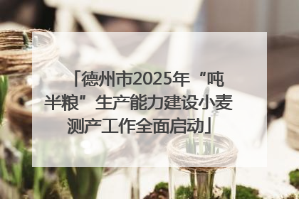 德州市2025年“吨半粮”生产能力建设小麦测产工作全面启动