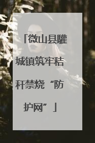 微山县驩城镇筑牢秸秆禁烧“防护网”