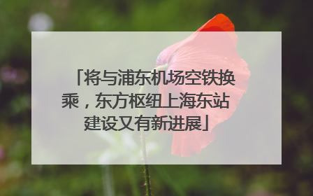 将与浦东机场空铁换乘，东方枢纽上海东站建设又有新进展