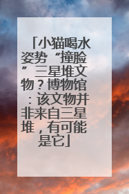 小猫喝水姿势“撞脸”三星堆文物？博物馆：该文物并非来自三星堆，有可能是它