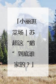 小丽逛菜场｜苏超这“鹅”到底谁家的？
