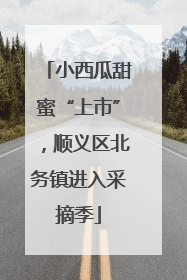 小西瓜甜蜜“上市”，顺义区北务镇进入采摘季