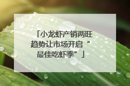 小龙虾产销两旺趋势让市场开启“最佳吃虾季”