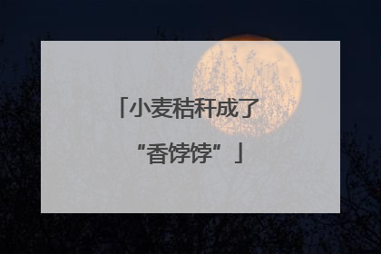 小麦秸秆成了“香饽饽”