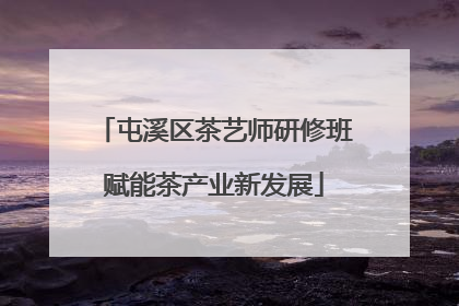 屯溪区茶艺师研修班赋能茶产业新发展
